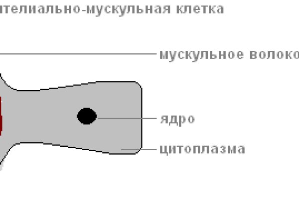 Ссылка на кракен 14ат