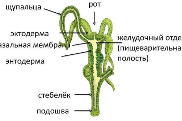 Сайт кракен войти