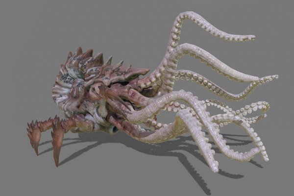 Kraken сайт krakens15 at