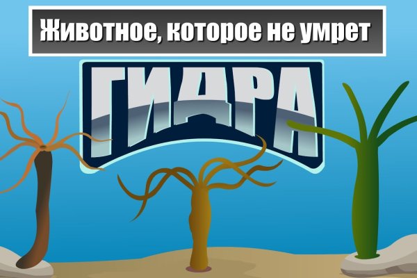 Кракен ссылка тор браузер